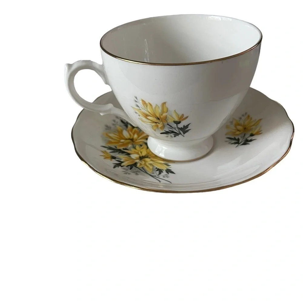 Royal Vale bone China teacup and saucer, made in England.